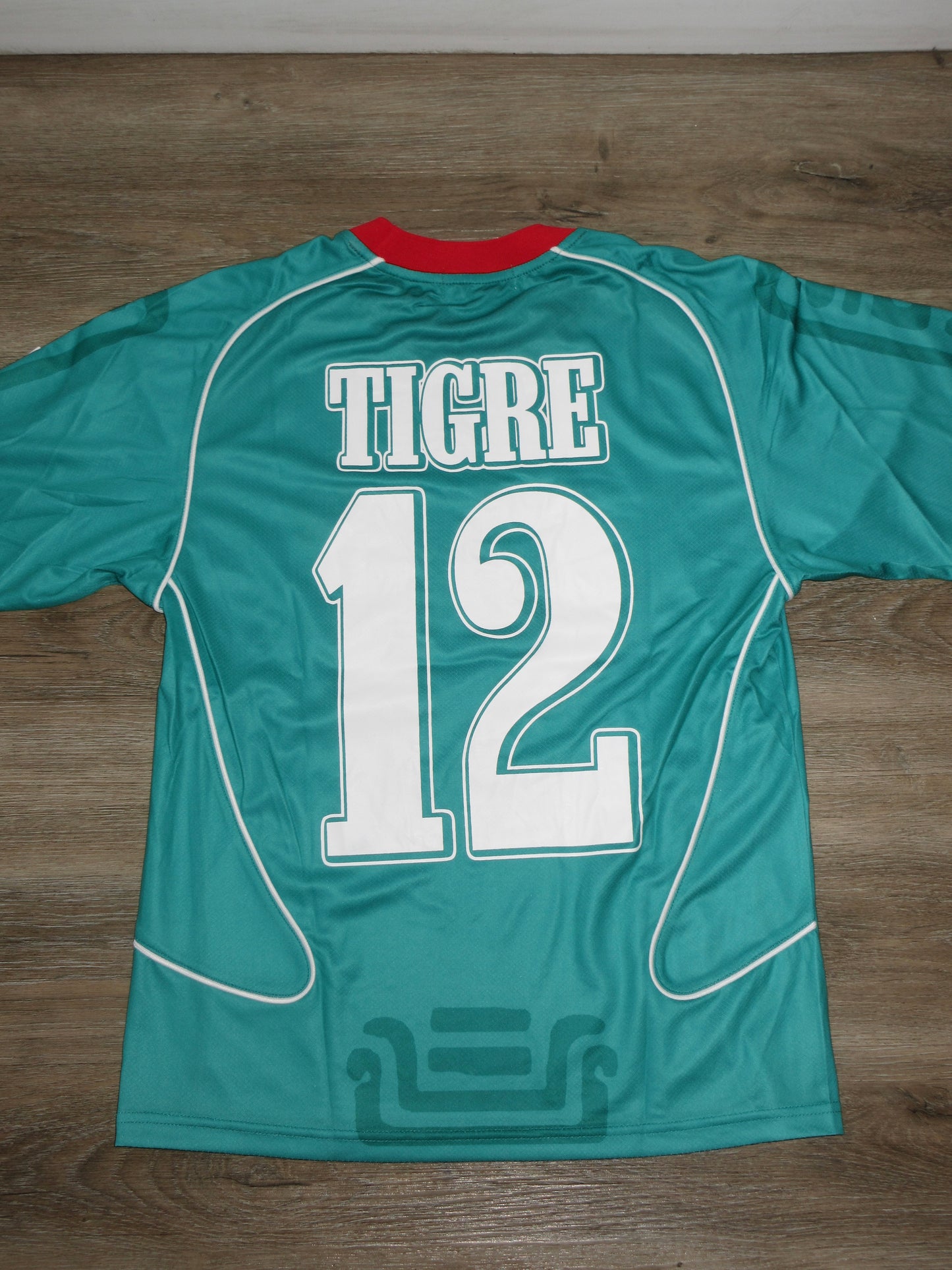 La Virgen de Guadalupe Jersey